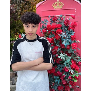 夏季美式高街重磅纯棉三条杠织带插肩撞色男女短袖T恤 CZ93-特P25图片
