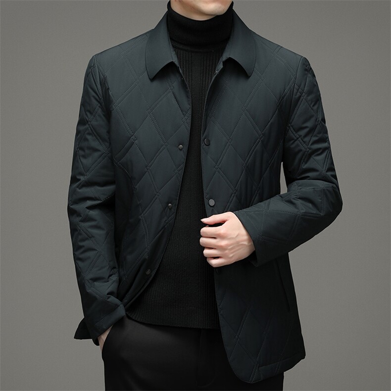 冬季外套男棉衣中年商务翻领棉服休闲上衣爸爸装棉袄2023新款,男装棉衣,电商B212（原钱塘6029）
