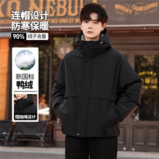 高端羽绒服高级感加厚冬装男士羽绒服外套上衣313B--WH2581-P300，男装羽绒服，星座313B