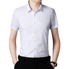 新款夏季男装上衣休闲短袖百搭宽松衬衫男士衬衣潮流上衣，男装衬衫，电商B212（原钱塘6029）