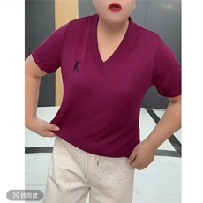 新款拉夫小马标纯棉刺绣V领夏季打底衫短袖T恤女纯色修身上衣RL球，女装T恤，思沃羊绒