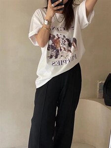 韩代斑点狗,其它,MY.counter