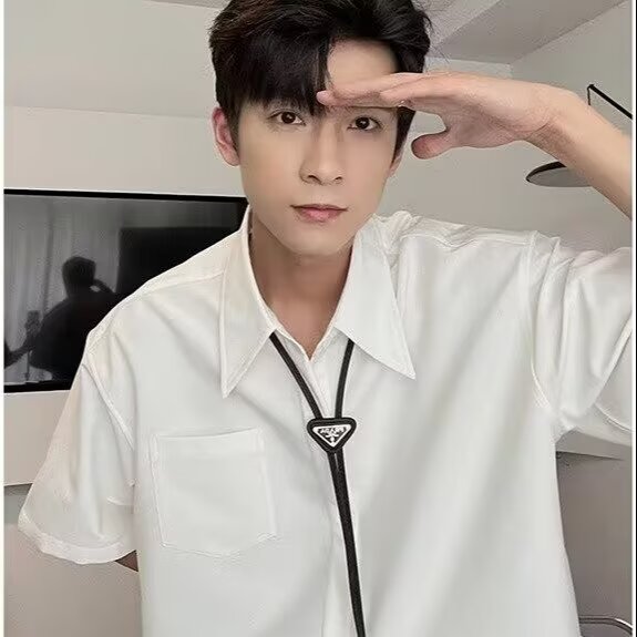 美式短袖衬衫男款夏季宽松免熨烫纯色半袖衬衣休闲痞帅外套GCS08,男装T恤,星座208-5