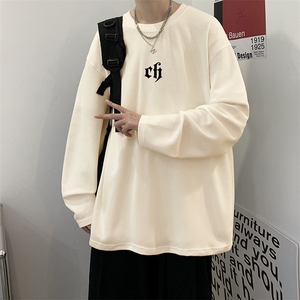 抖音供货、秋季现货舒适棉宽松重磅长袖T恤 D223A-CT2303-特P28图片