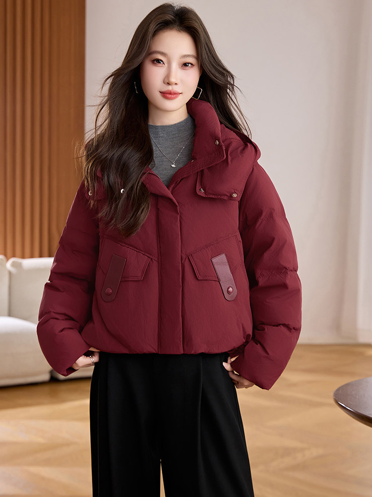 2025冬季新款简约时尚连帽羽绒服,女装羽绒服,阿丹