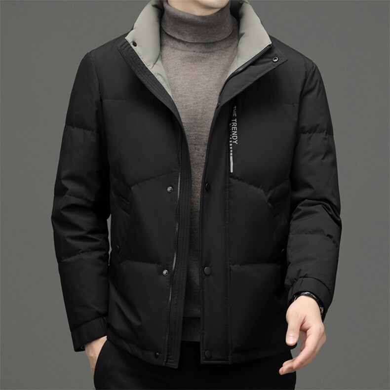 CAH9103钱塘2020-2冬季厚款商务休闲简约立领中年男士羽绒服P230,男装羽绒服,钱塘207-2