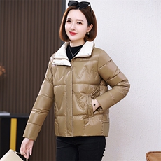 小个子短款保暖羽绒服女2023冬季新款简约百搭轻薄白鸭绒立领外套，女装棉衣/棉服，婷思杰（原婷想服饰）