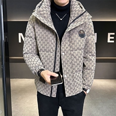 羽绒服男冬季2024新款连帽白鸭绒外套B240-YR6826-P205，男装羽绒服，电商B240