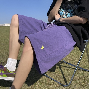DK2421特批25控48冰丝速干短裤男夏季薄款2025新款裤子休闲五分裤图片