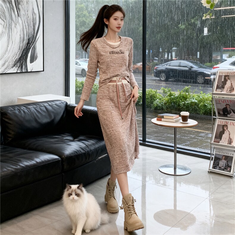 高级感时尚休闲套装女秋季新款修身显瘦圆领拼接卫衣半身裙两件套,女装套装/套裙,2C310