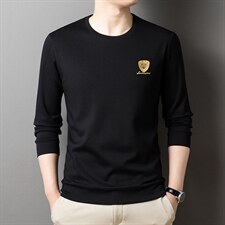 2023春秋季新款商务休闲刺绣卫衣刺绣加厚中年男士时尚百搭上衣，男装卫衣，电商B212（原钱塘6029）