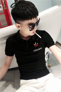 夏季短袖POLO衫社会小伙快手网红男半袖刺绣T恤C301B-PL06-P40图片