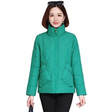 2022新款简约时尚立领棉服休闲百搭显瘦保暖外套，女装棉衣/棉服，婷思杰（原婷想服饰）