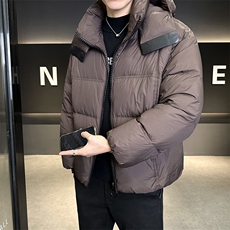 90%标白鸭绒2025冬季连帽加厚保暖休闲羽绒服外套18119-P330，男装羽绒服，电商A413