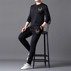 纯色长袖男士Polo衫套装2023春季新款商务休闲一套搭配中青年男装图片