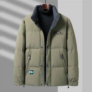 V2391钱塘2020-3秋冬新款男士立领羽绒服保暖时尚休闲外套P225图片
