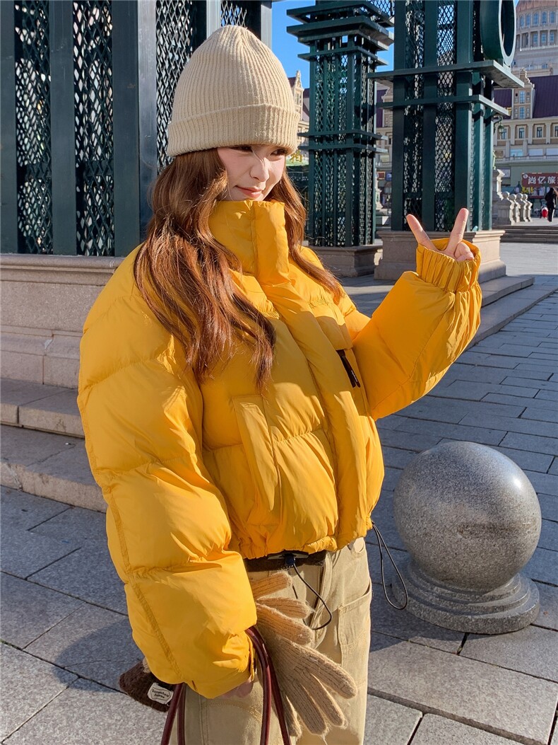 2025新款韩系羽绒服女短款小个子立领面包服加厚羽绒服外套,女装羽绒服,诺蝶