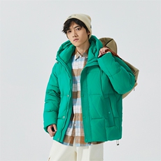 新标90白鸭绒简约休闲连帽外套纯色加厚羽绒服ESY0209-P210，男装羽绒服，电商B306