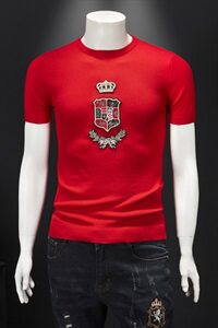 2021秋冬新款男士圆领短袖毛衣 QT711-1001-P75 大货款 假模图片