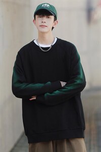 ！秋季上衣男圆领卫衣男装港风长袖t恤男外套男W103-P33图片