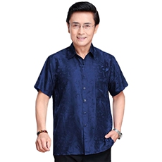 夏季新款爸爸中年男士夏装短袖衬衫老年人，男装衬衫，钱塘6003（原4033）