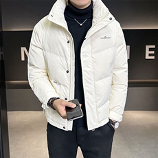 2024新款羽绒服男士冬季外套简约刺绣冬装上衣B240-YR9802-P175，男装羽绒服，电商B240