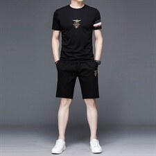 2023夏季薄款男士套装短袖T恤中青年圆领短裤运动，男装休闲套装，电商B212（原钱塘6029）