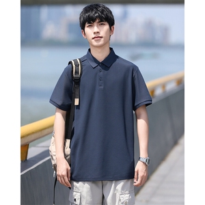 P02短袖男夏季新款纯色潮流半袖上衣休闲透气高级翻领polo衫T恤衫图片