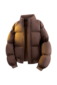 立体新款冬季羽绒立领PU皮棉服棉袄韩版宽松外套A436-2522-P80图片