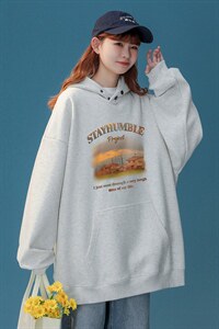 2026秋装  新款华棉复合高克重抖音品质 连帽卫衣 H652  P65控78图片