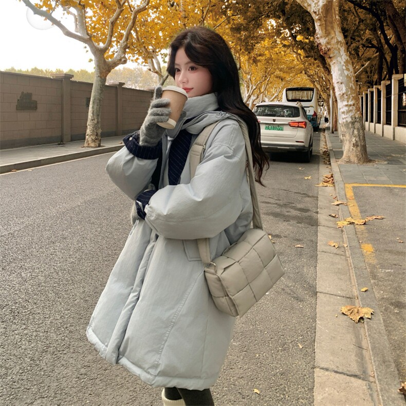 2026新款羽绒服帽子脱卸90白鸭绒2C053款号858批355控538,女装羽绒服,2C053