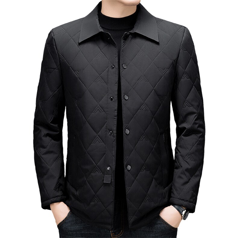 高端商务翻领棉服男2026秋季新款爸爸装棉衣休闲秋装轻薄棉袄外套,男装棉衣,电商B212（原钱塘6029）