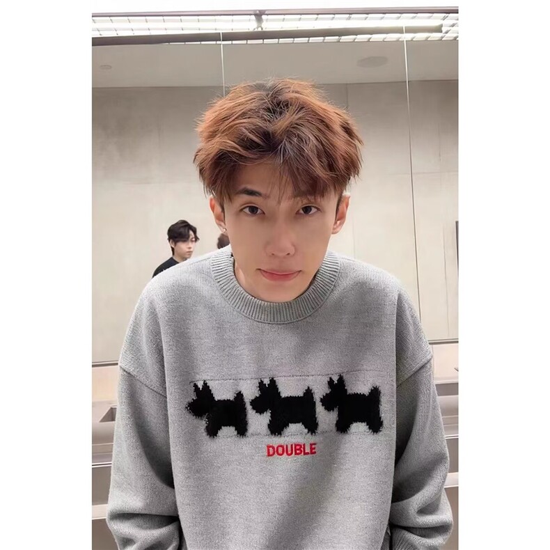 美式小狗植绒圆领毛衣男女潮牌慵懒风宽松百搭休闲情侣针织衫上衣，男装针织衫/毛衣，四季星座505