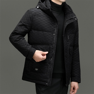DF23102钱塘2020-2新款冬季时尚百搭有帽简约中年男士羽绒服P303图片