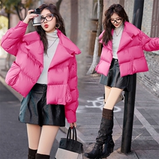 时尚大翻领短款羽绒服2024年冬季新款白鸭绒外套，女装羽绒服，橙子家