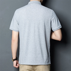新款男装中青年翻领POLO衫短袖上衣商务休闲宽松潮流爸爸装P45，男装Polo衫，钱塘6003A(原)4033A