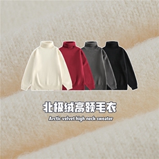 2025冬高领百搭毛衣北极绒800g--5144模特图控价108，男装针织衫/毛衣，电商S012（CATTEE）