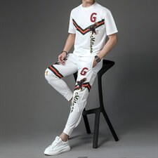 男士休闲百搭套装夏季2023新款圆领短袖t恤运动裤子两件套，男装休闲套装，电商B212（原钱塘6029）