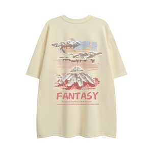 白底23新款夏季美式复古雪山百搭宽松短袖T恤T6091P25控38图片
