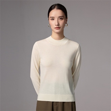2025秋冬百搭时尚简约平面半高领针织衫，女装针织衫/毛衣，蚂蚁派对工厂直营店