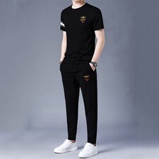 男士休闲百搭套装夏季2023新款圆领短袖t恤运动裤子两件套，男装休闲套装，电商B212（原钱塘6029）
