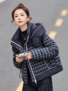 格子连帽羽绒服女小个子冬装2025新款高端时尚百搭保暖白鸭绒外套图片