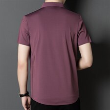 高档免烫衬衣专柜品质男无痕夏季冰丝短袖衬衫中青年纯色商务，男装衬衫，电商B212（原钱塘6029）