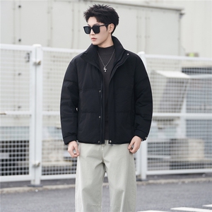 标50绒 羽绒服男冬季2025新款外套 A313-3301-P205劵后298图片