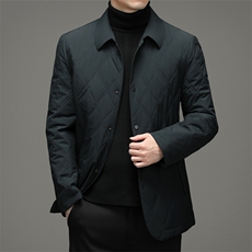 冬季外套男棉衣中年商务翻领棉服休闲上衣爸爸装棉袄A9601-P165，男装棉衣，电商B212（原钱塘6029）