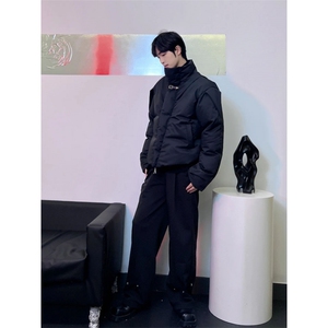现货！金属扣立领短款棉服外套高级设计感小众韩版棉服RW319-P115图片