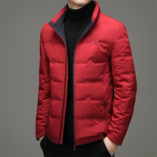 FJ2103秋冬新款2023年男士休闲羽绒服加厚保暖夹克外套P225，男装羽绒服，电商B360
