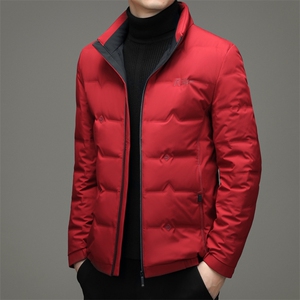 FJ2103秋冬新款2023年男士休闲羽绒服加厚保暖夹克外套P225图片