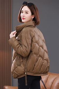 2023年秋冬新款棉衣外套女中长款立领棉服宽松显瘦遮肉棉袄女图片