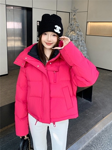 现货新款2179-P255=K365小个子羽绒服图片